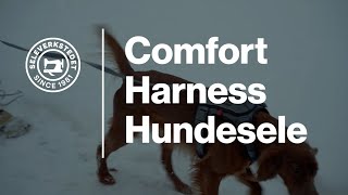 Hundesele Comfort Harness  Seleverkstedet® [upl. by Erb]