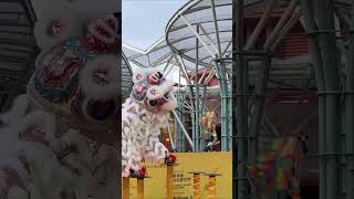 新加坡新城龍獅學院 Singapore Lion Dance Championship [upl. by Mil]