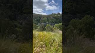 Ferntree Gully quarry spring nature naturelovers walking walk melbourne australia 2024 fern [upl. by Pris]