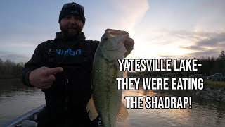 Fishing Yatesville Lake in Spring Youll Never Guess What They Are Chewing [upl. by Ainit]