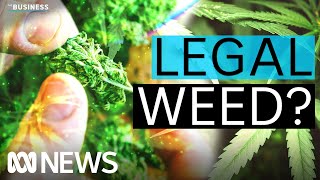 When will marijuana be legalised for adult use in Australia  The Business  ABC News [upl. by Trygve]