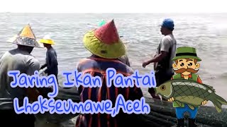 Narik pukat di Pantai dapat ikan buanyakseger [upl. by Eednac]