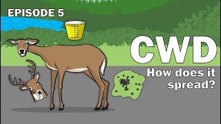 CWD Series Episode 5  How does CWD spread [upl. by Ednil636]