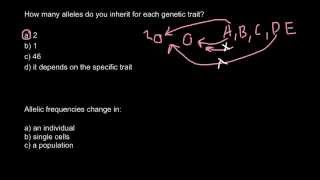 Allele frequency explained [upl. by Toole744]