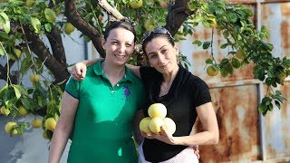 Heghineh Family Vlog 64  Հարևանները  Heghineh Cooking Show in Armenian [upl. by Mutat68]