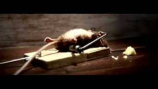 Mouse Trap Survivor Cheese Commercial [upl. by Pepper]