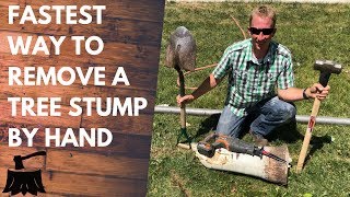 How To Remove A Tree Stump By Hand In 20 Minutes Or Less [upl. by Leizar825]