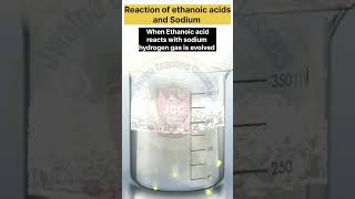 Reaction of Ethanoic acid with sodium shortsfeed practical scienceexperiment chemistry shorts [upl. by Ytisahc]