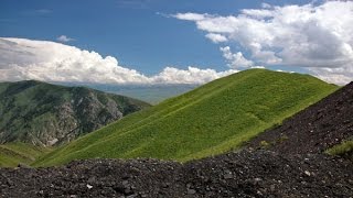 Experiment With Shungite Water and Plants [upl. by Saqaw965]