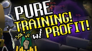 MAKE MONEY WHILE TRAINING YOUR PURE 50k EXP AND GP OSRS Pure Training OSRS 1 Def Pure Training [upl. by Yenaiv]