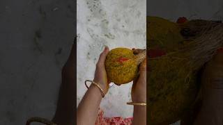 coconut decoration for kalasam coconutdecoration varalakshmipoojadecoration kalasalamkaram amman [upl. by Leima]