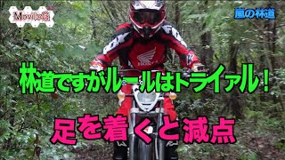 Montesa COTA 4RTで林道ツーリング Ver2 [upl. by Beesley]