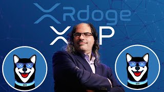 Ripple XRPs New Meme Coin XRDoge will 10x your XRP BAG [upl. by Survance332]