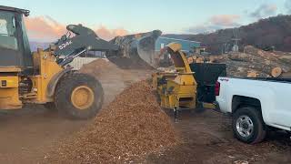 Sundance Grinder Processing Hardwood Mulch [upl. by Muncey391]