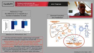 Residual cardiovascular risk What is the role of icosapent ethyl [upl. by Yanarp]