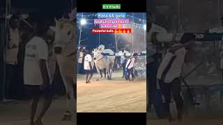 D V R bulls 🔥🔥Rana ampguna powerful bullsyoutube triending🔥 videoanimals update video [upl. by Nairim865]