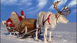 Santa Claus for kids 🦌🎅 Best reindeer rides of Father Christmas in Lapland Finland for children [upl. by Hallie]