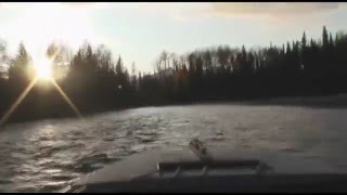 Fly Fishing for Sustut River Steelhead  Part 2 [upl. by Yur783]