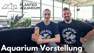 35L Nano Aquascape Vorstellung 2 Platz TAotPA 2023 [upl. by Ordnassela]