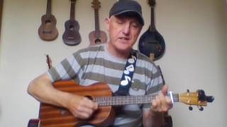 Easy Beginner Baritone Ukulele tutorial  Lesson 1 of 6  Series 3 [upl. by Euqirat615]