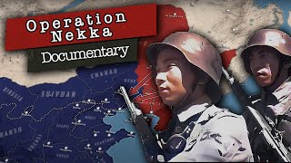 Operation Nekka Japans Blitz Into North China Second SinoJapanese War Documentary [upl. by Lynnea]