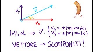 Scomposizione di un Vettore [upl. by Karlotte]