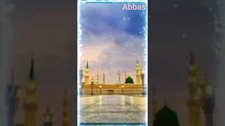 Heart Touching Beautiful Naat 2024  Wo Shehr e Mohabbat  Syeda Areeba Fatima  Nasheed Production [upl. by Amadeus538]