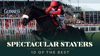 TOP 10 STAYERS HURDLES AT THE CHELTENHAM FESTIVAL [upl. by Ginny]