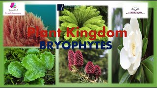 quotBRYOPHYTESquot Class 11 Biology PLANT KINGDOM [upl. by Scrope]