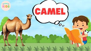 Camel Facts For Kids 🐪 Learn All About Camels  MON Kids [upl. by Porett]