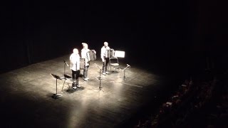 Folle journée  Motion trio au Théâtre [upl. by Thayer]