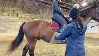 Dressage lesson dec 13 2021 [upl. by Ogilvy215]