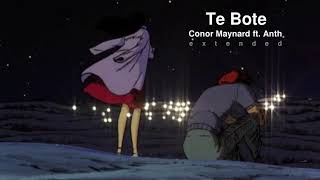 Te Bote  Conor Maynard ft Anth Extended [upl. by Adlesirk]