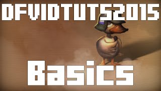 DFVIDTUTS2015 part 05 Basics [upl. by Gautious403]