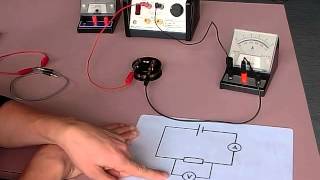 setting up ohms law circuit [upl. by Narah]