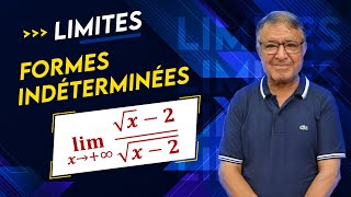 Calcul de Limites  Formes Indéterminées  Ex 3 [upl. by Burnaby544]