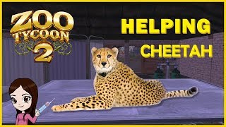 Saving A Cheetah 🐆  Wildlife Rescue Center  Zoo Tycoon 2 [upl. by Claretta]