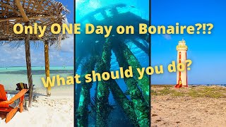 What to do with only ONE day on Bonaire [upl. by Halian]