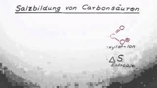 Salzbildung von Carbonsäuren  Chemie  Organische Chemie [upl. by Aeiram]