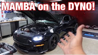 Here’s How much power MAMBA my 8 second Mustang Made on the dyno [upl. by Binnie730]