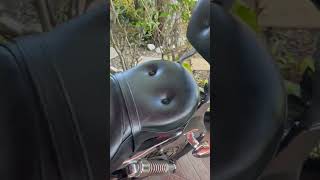 2004 HARLEYDAVIDSON SPORTSTER 883 CUSTOM in Pompano Beac [upl. by Bord]