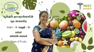 Morphology of Flowering plants  Part 9  Fruits  Types of Fruits  NEET Biology  NEET Tamil [upl. by Tome]