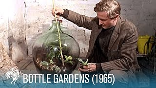 Bottle Gardens 1965  British Pathé [upl. by Stedman]