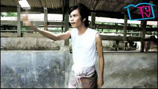 Lembu Nak Jaga aka Moves Like Jagger [upl. by Jasper459]