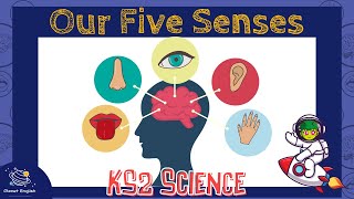 Our Five Senses  KS2 Science  STEM and Beyond [upl. by Eben]