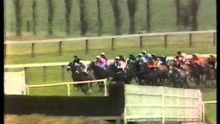 1984 Schweppes Gold Trophy Handicap Hurdle [upl. by Belford]