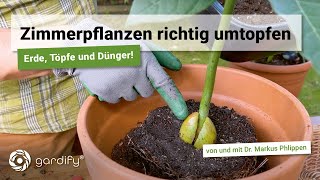 Zimmerpflanzen richtig umtopfen mit Tipps zu Pflanztöpfen Dünger und Erde  gardify Tipps [upl. by Yeknarf977]