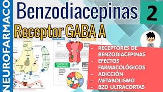 MECANISMO DE ACCIÓN RECEPTORES GABA BENZODIACEPINAS Efectos Farmacológicos Reacciones Adversas2 [upl. by Sikorski]