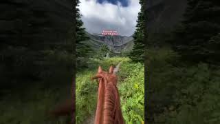 Through the Highland Trails on Horseback  Horse riding trails [upl. by Ruscher757]