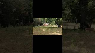 Tannerite fun tannerites firearmreview [upl. by Zara555]